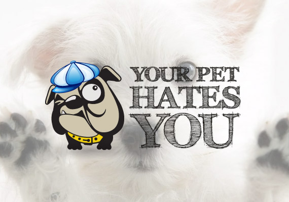 your pet hates you